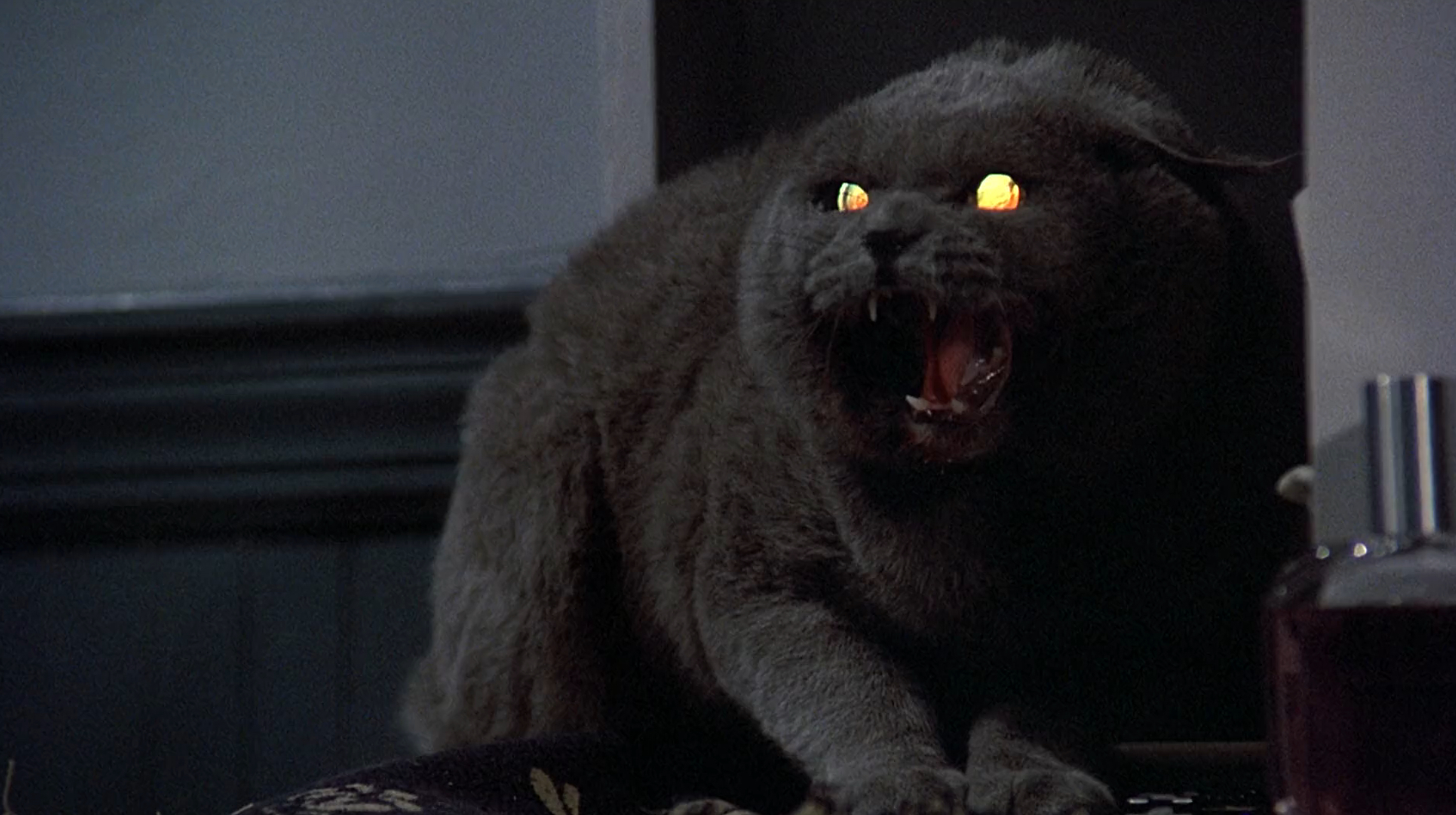 Pet Sematary Church Prop Dead Rat