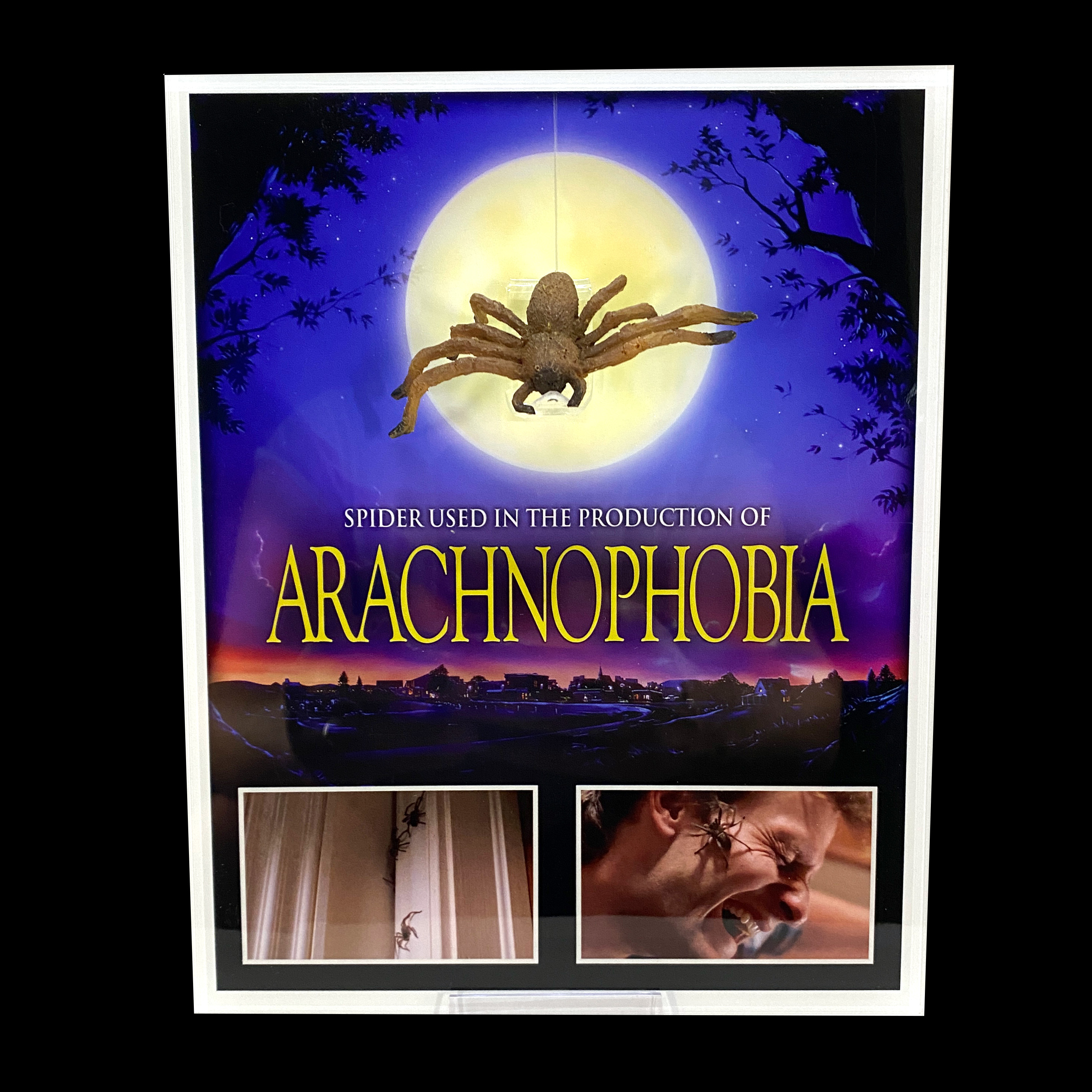 A screen-used prop spider from ARACHNOPHOBIA on 8x10 acrylic display.  