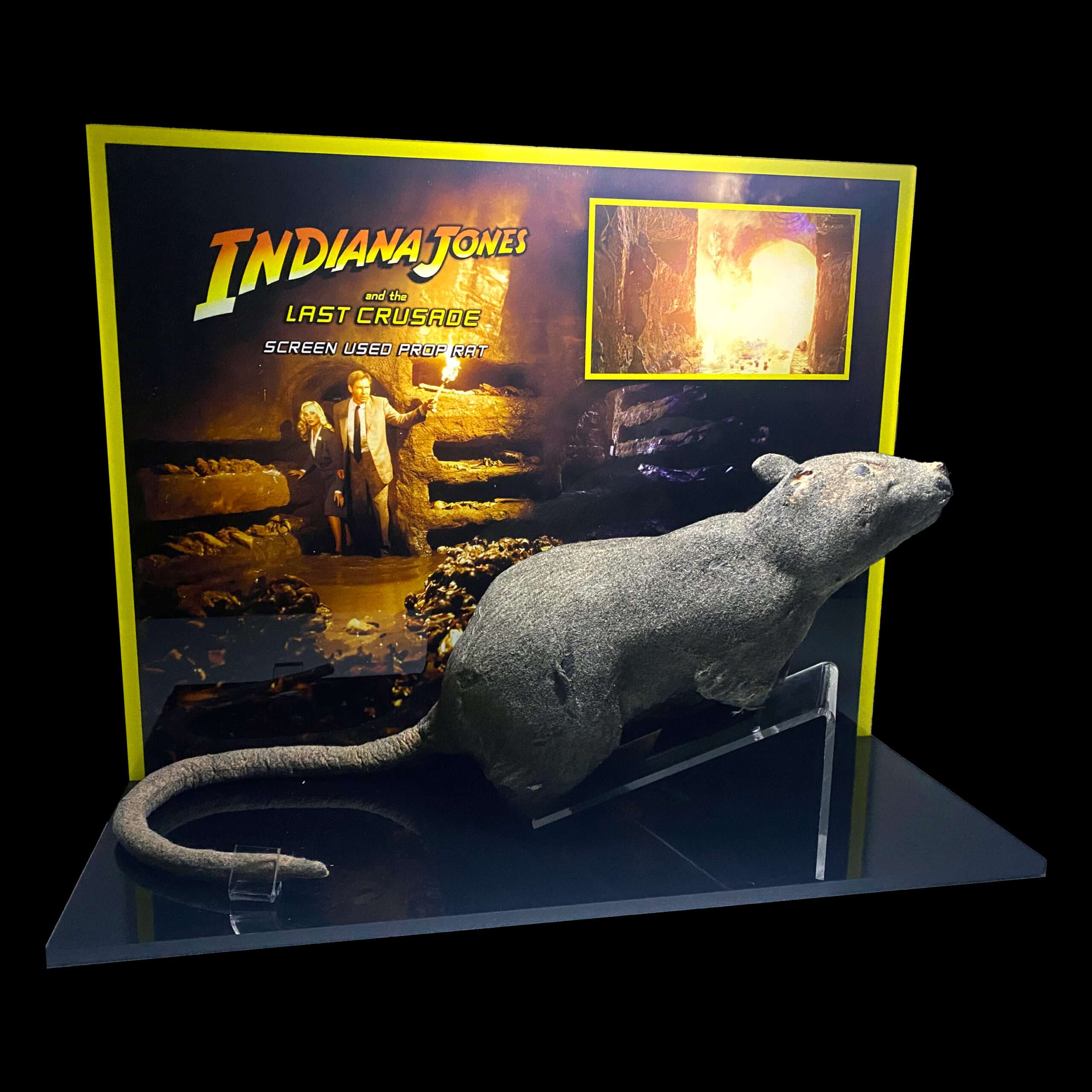 Indy 3 Screen Used Prop Rat